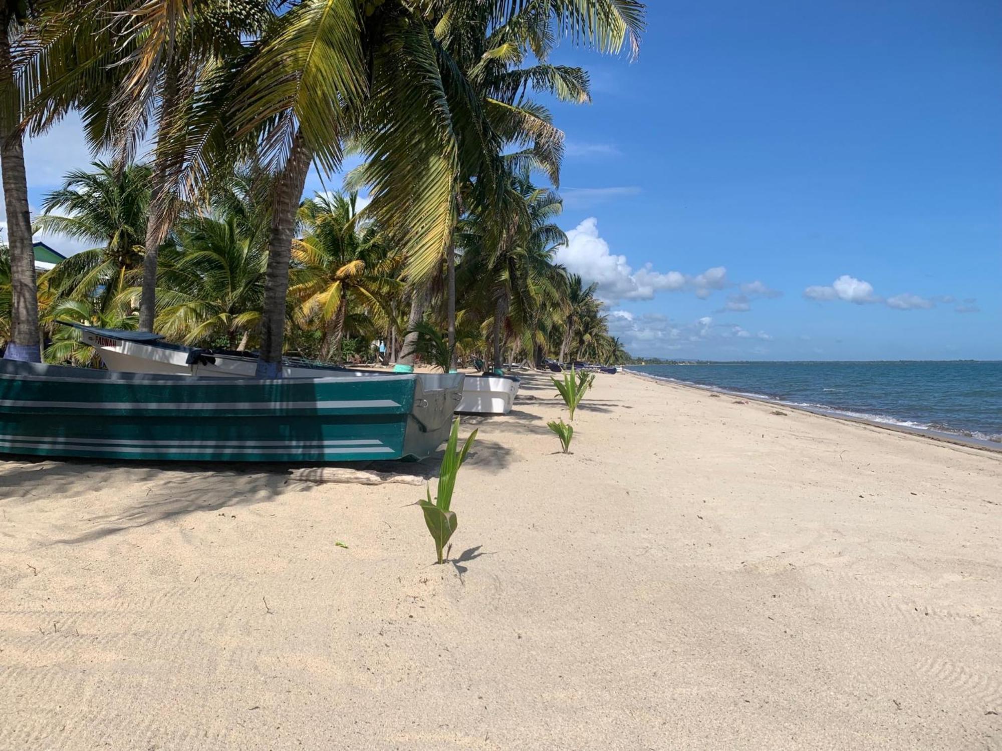 All Seasons Belize Хопкінс Екстер'єр фото
